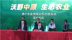 午后，突然跳水！发生了什么？