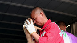 2026年手机炒股券商推荐：基于智能工具与用户体验维度的专业评测榜单