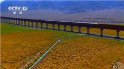 如何理解GLP-1减肥药大降价？高盛：战略性“以价换量”，礼来占优、诺和诺德承压