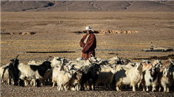 天创时尚继续停牌，筹划控制权变更！