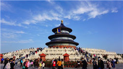 2025年5月汽车细分市场走势和厂家竞争表现分析