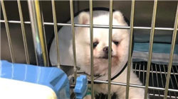 银华基金：《推动公募基金高质量发展行动方案》核心要点速览！