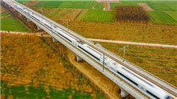 商务部：荷兰迈出正确方向第一步，但距离彻底解决问题还有差距