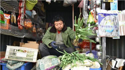 博时基金高管动荡，张东或接棒江向阳成董事长，团队稳定性引关注