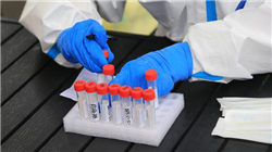 11月16日增减持汇总：暂无增持 中国铝业等8股减持（表）