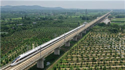 包钢股份：截至11月10日股东总户数为914270户