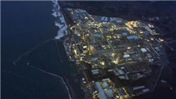 奇梦岛亮相金鸡奖 文创赋能青年影人成长