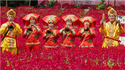 韩股收升2.78%再创纪录新高 因出口数据强劲