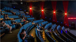 9月14日山东邹城花生价格行情