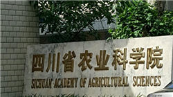 跨境通盘中涨停