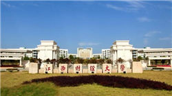 纸浆：宏观风险扰乱交易节奏