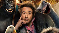 视频|爱泼斯坦最新文件公开！马斯克被曝曾多次求着上岛，还询问哪一晚最疯狂，本人回应:是我在努力推动公开