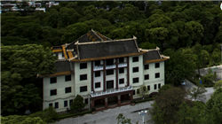 宋洋美术馆馆长宋洋：艺术家需要拥抱变化