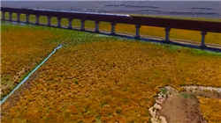 今世缘顾祥悦：白酒消费需求仍显疲软，市场竞争非常激烈