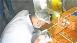 申万宏源：十五五产能优化与科技攻坚共振，AI应用蓄势待发（附十大行业前瞻）