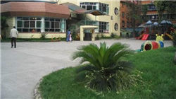 线上首度比肩线下、保险成财富管理“榜眼” 过去一年保险业发生了哪些变化？