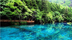 信达证券总经理祝瑞敏辞职！副总经理、财务总监张毅代行总经理