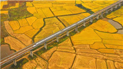 二铵价格还能挺多久？真实市场情况曝光！