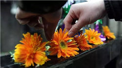 张江芯片企业，上半年净利润增长超106%