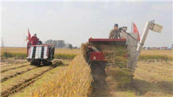 PriceSeek提醒：异辛醇出厂价格上涨100元