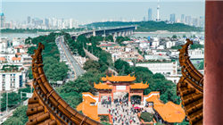 11家上市车企三季报：过半车企实现盈利 3家营利、销量全增长 广汽净利润骤降3691%