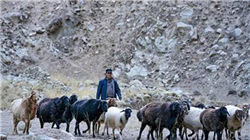 从CSK Turbo看联通云“数安专家”的硬核担当