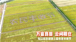 广发宏观：11月经济初窥