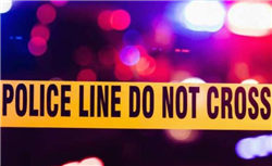 新兴光学：刘陶将辞任执行董事