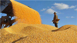 “特普会”机密文件，被酒店打印机泄露