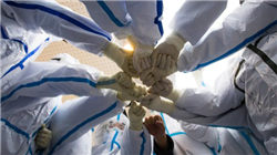 生猪期货创阶段新低，能繁母猪存栏不降反增，拐点何时到来？