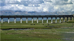 21个涨停！603843，再停牌核查！