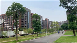 期市晨昏线6.9（晚）：破位之后，尿素将何去何从？