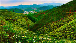 门店试衣镜自带滤镜？优衣库客服：均为正常镜子