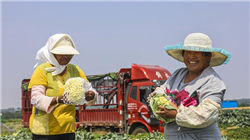 法兴银行集团首席经济学家Michala MARCUSSEN谈市场“三大谜题”