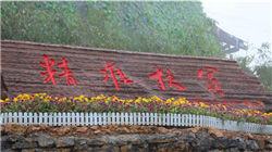 卢晓：人不得永生，品牌得永生