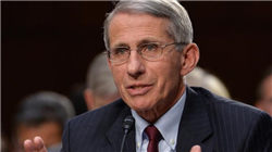 收评：港股恒指涨1.07% 科指涨1.93% 稀土概念股大涨 稳定币概念股移卡涨超15%