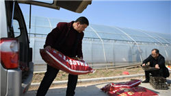 美股财报制度或生变？特朗普再提以半年报取代季报