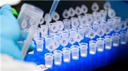 中设股份：公司围绕四大业务领域提供全过程工程设计咨询和工程总承包业务