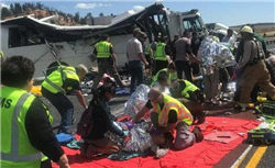 迪阿股份审计机构由安永华明更为德勤华永：审计费降76万 德勤华永曾受到行政处罚1次